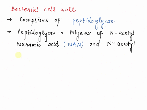 pepiidogiycan-is-polymor-of-miions-ol-n-acatylglucosamine-nag-and-n-acetyluramic-acid-naj-sugars-based-ink-fenco-patem-lavan-cross-bracod-nag-and-nam-sheets-are-stacked-verlically-on-giucose-40802