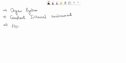 the-organ-system-work-together-to-maintain-a-constant-internal-environment-called-dash-within-body-87536