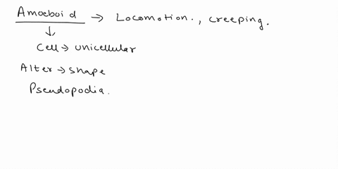 what-does-amoeboid-motion-result-from-a-interactions-among-actin-myosin-and-atp-b-coordinated-beat-2-40335