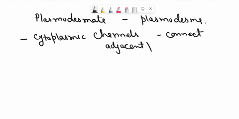 which-of-the-following-structures-may-be-traversed-by-plasmodesmata-that-connects-the-cytoplasm-of-two-neighbouring-plant-cells-a-middle-lamella-only-b-endoplasmic-reticulum-only-c-both-cell-29717
