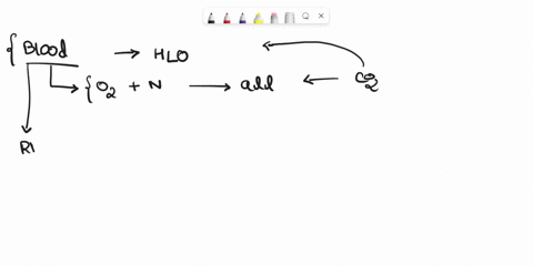 how-does-a-change-to-an-amino-acid-within-hemoglobin-affect-its-ability-to-carry-oxygen-efficiently-throughout-the-bloodstream-94346
