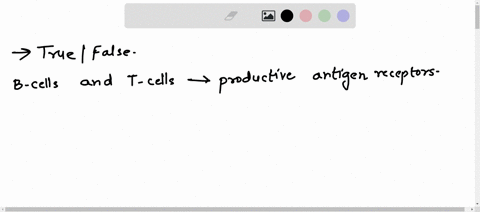 true-or-false-why-b-cells-and-t-cells-can-both-still-make-productive-antigen-receptors-via-vdj-recombination-even-if-no-p-nucleotides-are-introduced-during-the-process-00104
