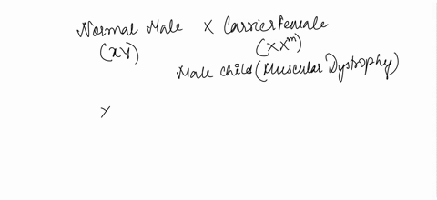 question-8-1-point-duchenne-muscular-dystrophy-is-sex-linked-recessive-trait-a-normal-male-and-carrier-female-have-male-child-that-has-the-condition_-first-question-what-is-the-chance-that-t-90557