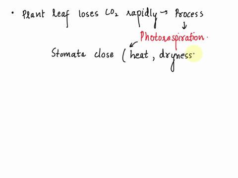what-will-happen-to-a-plant-leaf-that-loses-mathrmco_2-too-quickly-a-no-effect-on-the-rate-of-photos-65646