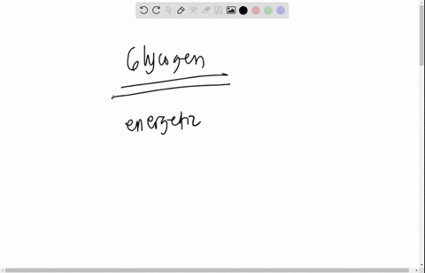 which-of-the-following-stores-the-most-energy-in-chemical-bonds-ribose-glycogen-sucrose-galactose-glucose-16986