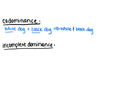 activity-1-what-pattern-am-i-directions-determine-if-the-following-pictures-exhibit-codominance-or-incomplete-dominance-write-your-answer-on-the-space-provided-white-flower-red-flower-pink-f-56216