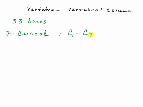 for-all-numbered-labels-name-the-specific-part-of-the-bone-except-for-51-52-name-the-bone-only-for-the-two-vertebrae-on-the-right-also-indicate-the-region-where-they-are-found-ver-tebral-for-76055