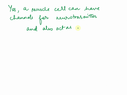 a-muscle-cell-contains-acetylcholine-receptors-that-act-as-ligand-gated-cation-channels_-andit-also-contains-voltage-gated-na-channels-ofthe-type-found-in-neurons-in-theory-could-muscle-cell-83071