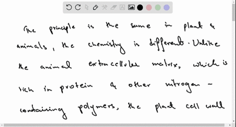 in-what-ways-are-the-extracellular-matrices-of-animal-and-cell-walls-of-plants-different-in-construction-26896