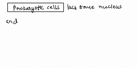 what-is-the-difference-between-a-prokaryotic-and-a-eukaryotic-cell-12224