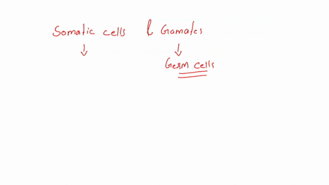 comparing-somatic-cells-and-gametes-somatic-cells-area-diploid-with-one-set-of-chromosomesb-haploid-with-one-set-of-chromosomesc-diploid-with-two-sets-of-chromosomesd-haploid-with-two-sets-o-03464