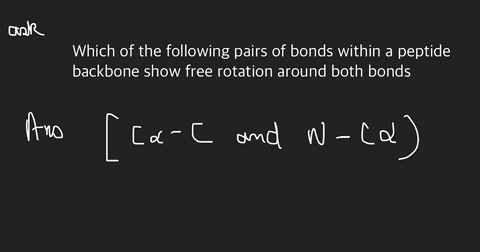 question-15-4-pts-which-of-the-following-pairs-of-bonds-within-a-peptide-backbone-show-free-rotation-around-both-bonds-c-o-and-n-c-n-ca-and-n-c-n-cand-ca-c-c-o-and-n-ca-ca-cand-n-ca-86307