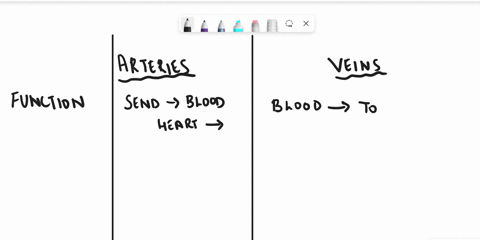 comparative-table-showing-the-similarities-and-differenees-in-the-structure-and-function-of-arteries-and-veins-tcin-artary-discussion-16903