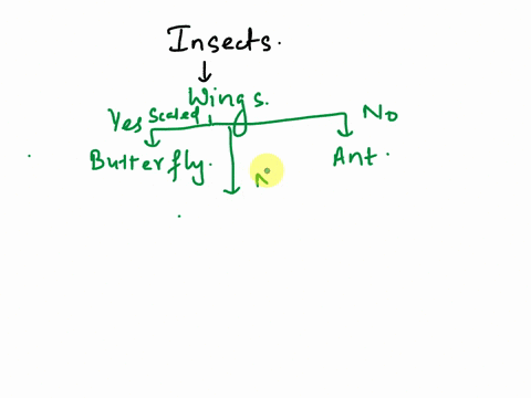 please-create-a-dichotomous-key-for-these-organisms-activity-bcreate-a-dichotomous-key-for-the-organisms-pictured-belowwhen-you-finish-your-keyuse-a-text-box-to-place-the-correct-letter-and-76608
