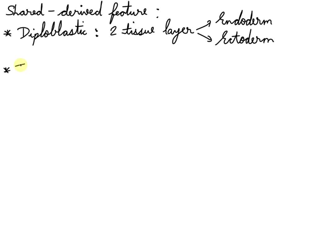 SOLVED Construct a tree diagram that correctly positions and