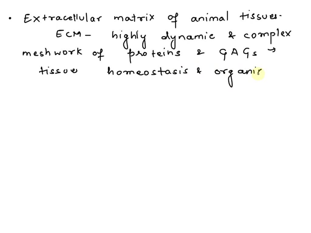 Proteoglycans and their GAGs such as chondroitin sulfate are found in