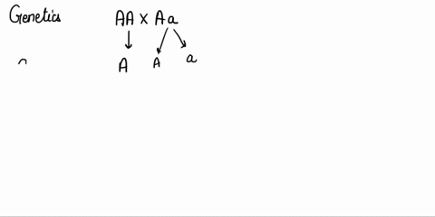 6-mating-of-two-organisms-produces-11-ratio-of-genotypes-in-the-progeny-the-parental-genotypes-are-aaaaa-aa-aa-aa-aa-d-aa-consider-gene-with-three-alleles-an-a-and-aj-in-cross-between-two-in-99885