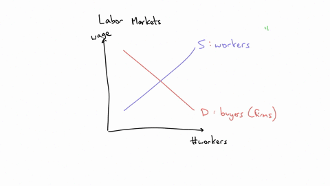 suppose-that-the-market-for-labor-is-initially-in-equilibrium-an-increase-in-the-price-of-output-will-cause-group-of-answer-choices-the-equilibrium-wage-and-the-quantity-of-labor-to-both-ris-54272