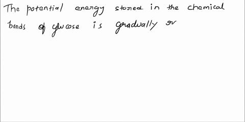 question-79-15-pts-the-potential-energy-that-is-stored-in-the-bonds-between-the-hydrogens-and-the-carbons-in-glucose-can-be-used-to-form-hydrogen-ion-gradient-that-powers-atp-synthesis-in-th-33807