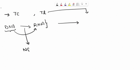 question-48-2-points-in-this-figure-the-antibiotic-chloramphenicol-binds-the-5os-ribosome-a5-shown-from-this-information-you-can-conclude-that-chloramphenicol-prevents-transcription-in-eukar-76105