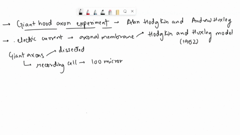 the-use-of-the-giant-squid-axon-paved-the-way-for-understanding-how-our-neurons-work-explain-the-experiments-that-where-done-why-were-these-experiments-considered-seminal-and-explain-how-we-99673