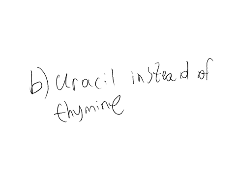 rna-differs-from-dna-in-that-it-uses-____________-a-guanine-instead-of-cytosine-b-uracil-instead-of-thymine-c-uracil-instead-of-adenine-d-guanine-instead-of-adenine