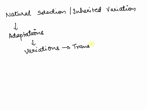 how-do-natural-selection-and-inherited-variations-influence-a-population-05844