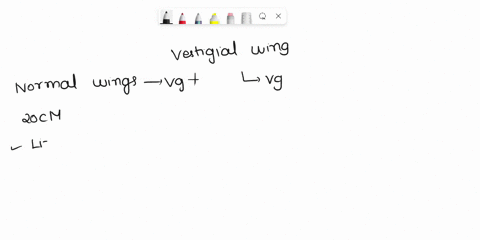 in-the-fruit-fly-drosophila-the-vestigial-partially-formed-wing-phenotype-vg-is-recessive-to-normal-wings-vg-and-the-gene-for-this-trait-is-autosomal-singed-bristles-sn-and-sable-body-color-05412