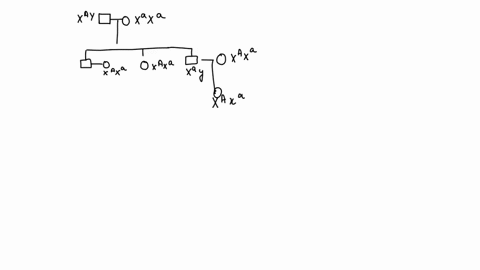 an-unknown-trait-is-documented-in-a-family-for-three-generations-as-shown-in-the-pedigree-below-which-inheritance-patterns-are-possible-for-this-trait-based-on-the-pedigree-select-all-that-a-63182