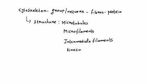 what-is-the-function-of-cytoskeleton-in-a-cell-67133