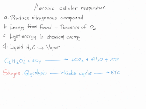 which-one-of-the-following-describes-the-process-of-aerobic-cellular-respiration-a-a-process-that-uses-nitrogen-molecules-from-the-air-to-make-nitrogenous-compounds-in-living-things-b-a-proc-09838