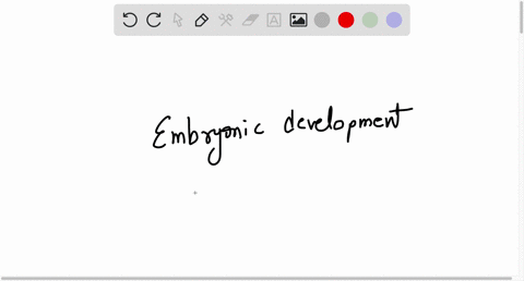 during-embryonic-development-cells-destined-to-become-muscle-cells-have-other-genes-that-are-inhibited-by-epigenetic-changes-such-as-dna-methylation-so-those-genes-are-not-expressed-in-these-76962
