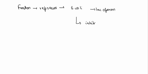explain-how-the-function-of-the-repressor-protein-of-the-e-coli-lac-operon-is-unable-to-inhibit-transcription-when-lactose-is-present-please-be-detailed-and-exact-with-your-answer-18258