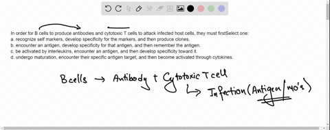in-order-for-b-cells-to-produce-antibodies-and-cytotoxic-t-cells-to-attack-infected-host-cells-they-must-firstselect-onea-recognize-self-markers-develop-specificity-for-the-markers-and-then-78642