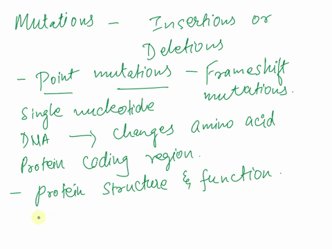 why-is-it-more-likely-that-insertions-or-deletions-will-be-more-detrimental-to-a-cell-than-point-mut-57615