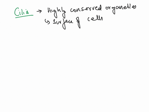 name-the-organelle-at-the-end-of-the-arrow-97037