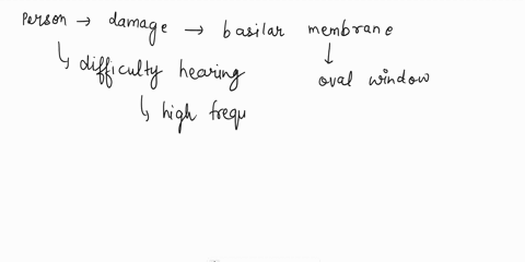a-person-who-has-damage-to-the-basilar-membrane-nearest-the-oval-window-would-likely-not-be-able-to-hear-the-tuba-in-a-marching-band-the-tweeting-of-small-birds-the-baritone-of-a-quartet-the-64544