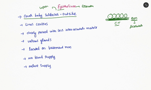 epithelia-__________-a-are-loosely-packed-tissues-that-hold-organs-in-place-b-can-be-free-floating-t-22765