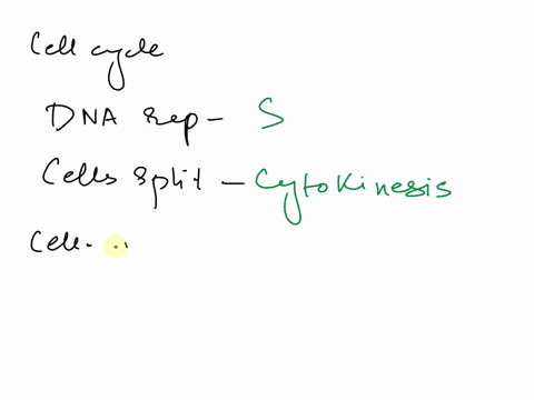 ago-phase-bg1-phase-cs-phase-dg2-phase-einterphase-fmitosis-gcytokinesis-dna-replicationor-synthesisoccurs-during-this-phase-one-cell-splits-into-two-cells-during-this-phase-this-phase-is-ch-61325