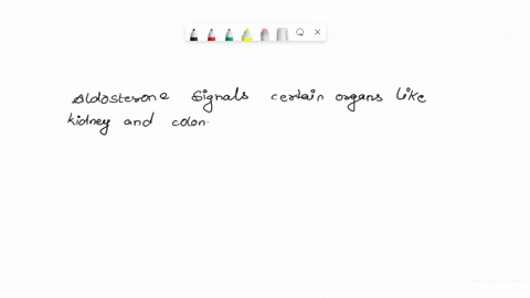 what-is-the-function-of-aldosterone-where-does-it-act-27129