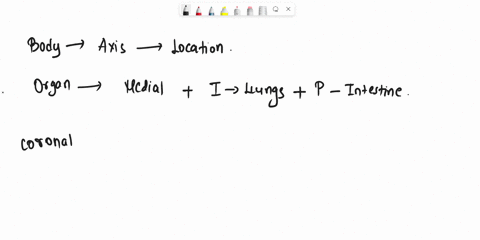 name-a-structure-that-is-in-the-medial-part-of-the-body-located-inferior-to-the-lungs-and-posterior-to-the-intestines-note-a-coronal-section-would-contain-this-structure-and-the-heart-and-it-51957