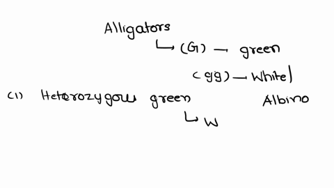 in-alligators-the-dominant-allele-g-produces-pigment-for-a-green-alligator-and-two-recessive-alleles-gg-produce-a-white-or-albino-alligator-do-the-following-crosses-include-the-phenotypic-an-01468