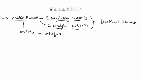 explain-how-mutations-in-the-regulatory-r-and-catalytic-c-chains-of-protein-kinase-pka-might-lead-to-a-a-constantly-active-pka-or-b-a-constantly-inactive-pka-your-answer-should-also-include-51058