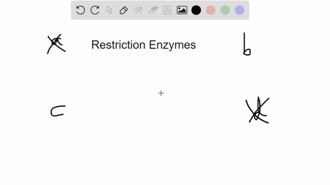 which-of-the-following-statements-concerning-restriction-enzymes-is-false-they-cut-dna-molecules-at-specific-sequences_-they-are-found-in-all-cells-therc-are-two-basic-types-of-restriction-e-06316