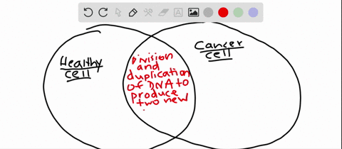 compare-and-contrast-the-cell-cycle-of-a-healthy-cell-to-that-of-a-cancer-cell-explain-what-would-lead-to-a-cell-becoming-cancerous