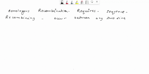 consider-the-two-processes-involved-repairing-double-strand-dna-breaks_-which-process-homologous-recombination-nhej-morc-likely-restore-the-original-ucmc-seddentes-and-why-match-the-words-in-90371