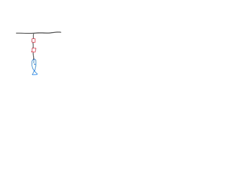 question-fish-weighing-16-n-is-weighed-using-two-spring-scalcs-cach-ofnegligible-weight-as-shown-in-the-figure-what-will-be-the-rcadings-of-the-scales-0-the-bottom-scale-will-read-16-n-and-t-31252