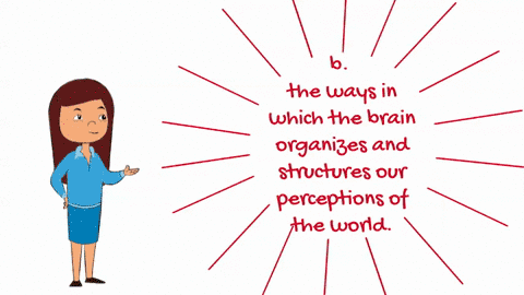gestalt-psychology-focuses-on-a-the-organization-of-the-mind-b-the-ways-in-which-the-brain-organizes-93156