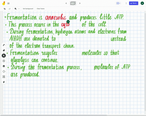 anaerobic-fermentation-is-and-produces-iittle-atp-nad-this-process-occurs-in-the-ol-ihe-cell-cytoplasm-during-fermentation-hydrogen-atoms-and-electrons-from-nadh-are-donated-to-instead-ol-th-17547