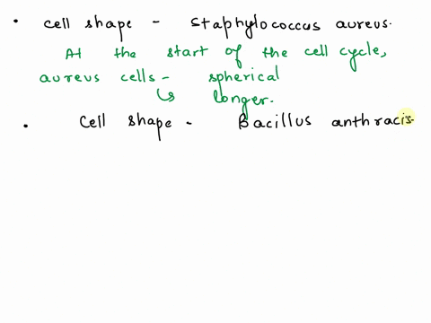 1-what-cell-shape-is-staphylococcus-aureus2-what-cell-shape-is-bacillus-anthracis3-what-cell-shape-is-streptococcus-a4-what-cell-shape-is-treponema-pallidumhelp-with-all-4-please-61497